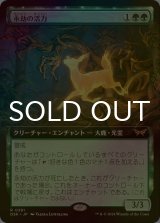 [FOIL] 永劫の活力/Enduring Vitality (拡張アート版) 【日本語版】 [DSK-緑R]