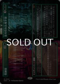 収納室 + 忘れられた地下室/Walk-In Closet + Forgotten Cellar (全面アート版) 【日本語版】 [DSK-緑MR]