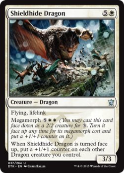 画像1: 盾皮のドラゴン/Shieldhide Dragon 【英語版】 [DTK-白U]