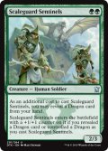 鱗衛兵の歩哨/Scaleguard Sentinels 【英語版】 [DTK-緑U]