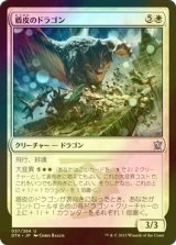 [FOIL] 盾皮のドラゴン/Shieldhide Dragon 【日本語版】 [DTK-白U]