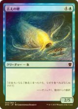 [FOIL] 古えの鯉/Ancient Carp 【日本語版】 [DTK-青C]