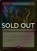 [FOIL] 禍々しい協定/Damnable Pact 【日本語版】 [DTK-黒R]