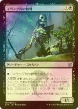 [FOIL] マラング川の骸骨/Marang River Skeleton 【日本語版】 [DTK-黒U]