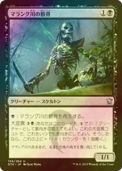 画像1: [FOIL] マラング川の骸骨/Marang River Skeleton 【日本語版】 [DTK-黒U]