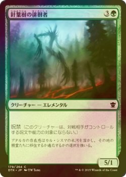 画像1: [FOIL] 針葉樹の徘徊者/Conifer Strider 【日本語版】 [DTK-緑C]