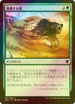 画像1: [FOIL] 暴露する風/Revealing Wind 【日本語版】 [DTK-緑C]