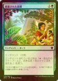 [FOIL] 遮蔽された高楼/Sheltered Aerie 【日本語版】 [DTK-緑C]