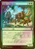 [FOIL] 突進する大鹿の群れ/Stampeding Elk Herd 【日本語版】 [DTK-緑C]