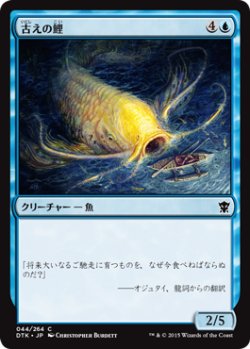 画像1: 古えの鯉/Ancient Carp 【日本語版】 [DTK-青C]