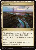 興隆する湿地帯/Thriving Moor 【英語版】 [ECC-土地C]
