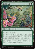 肥沃な大地/Fertile Ground 【日本語版】 [ECC-緑C]