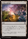 広漠なる変幻地/Terramorphic Expanse 【日本語版】 [ECC-土地C]