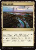 興隆する湿地帯/Thriving Moor 【日本語版】 [ECC-土地C]