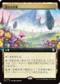 豊かな在郷/Abundant Countryside (拡張アート版) 【日本語版】 [ECC-土地R]