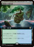 雨濡れの低木林/Rain-Slicked Copse (拡張アート版) 【日本語版】 [ECC-土地R]