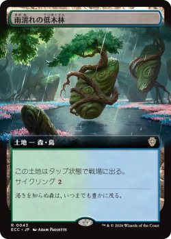 画像1: 雨濡れの低木林/Rain-Slicked Copse (拡張アート版) 【日本語版】 [ECC-土地R]