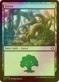[FOIL] 森/Forest 【英語版】 [ECL-土地C]