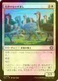 [FOIL] 鳥群のなりすまし/Flock Impostor 【日本語版】 [ECL-白U]