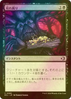 画像1: [FOIL] 枯れ腐り/Blight Rot 【日本語版】 [ECL-黒C]