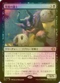 [FOIL] 怪異の闘士/Champion of the Weird 【日本語版】 [ECL-黒R]