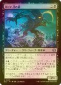 [FOIL] 節くれ皮の楡/Gnarlbark Elm 【日本語版】 [ECL-黒U]