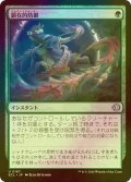 [FOIL] 顕在的防御/Blossoming Defense 【日本語版】 [ECL-緑U]
