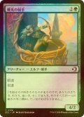 [FOIL] 曙光の射手/Dawn's Light Archer 【日本語版】 [ECL-緑C]