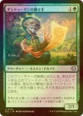 [FOIL] ダンドゥーリンの織り手/Dundoolin Weaver 【日本語版】 [ECL-緑U]
