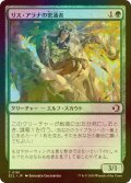 [FOIL] リス・アラナの密通者/Lys Alana Informant 【日本語版】 [ECL-緑C]