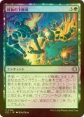 [FOIL] 虹色の下層流/Prismatic Undercurrents 【日本語版】 [ECL-緑U]
