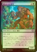 [FOIL] 雇われの打撃手/Pummeler for Hire 【日本語版】 [ECL-緑U]