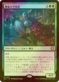 [FOIL] 無私の守美者/Selfless Safewright 【日本語版】 [ECL-緑R]