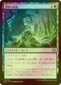 [FOIL] 煌野の成長/Shimmerwilds Growth 【日本語版】 [ECL-緑U]