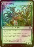 [FOIL] ツタ育ての喧嘩屋/Vinebred Brawler 【日本語版】 [ECL-緑U]