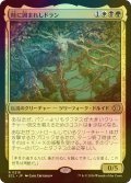[FOIL] 時に囲まれしドラン/Doran, Besieged by Time 【日本語版】 [ECL-金R]