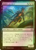 [FOIL] 蝕甚化したエルフ/Eclipsed Elf 【日本語版】 [ECL-金U]