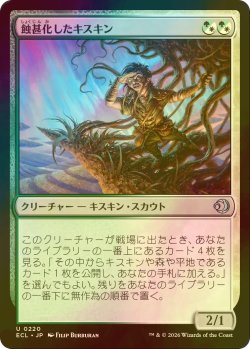 画像1: [FOIL] 蝕甚化したキスキン/Eclipsed Kithkin 【日本語版】 [ECL-金U]