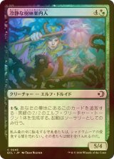 [FOIL] 冷静な樹林案内人/Stoic Grove-Guide 【日本語版】 [ECL-金C]
