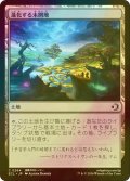 [FOIL] 進化する未開地/Evolving Wilds 【日本語版】 [ECL-土地C]