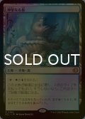 [FOIL] 神聖なる泉/Hallowed Fountain 【日本語版】 [ECL-土地R]