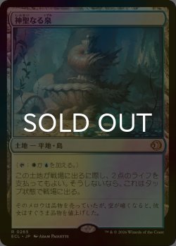 画像1: [FOIL] 神聖なる泉/Hallowed Fountain 【日本語版】 [ECL-土地R]