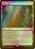 [FOIL] 草むした墓/Overgrown Tomb 【日本語版】 [ECL-土地R]