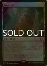 [FOIL] 草むした墓/Overgrown Tomb 【日本語版】 [ECL-土地R]