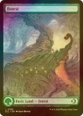 [FOIL] 森/Forest No.283 (全面アート版) 【英語版】 [ECL-土地C]