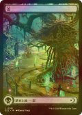 [FOIL] 沼/Swamp No.281 (全面アート版) 【日本語版】 [ECL-土地C]