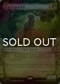 [FOIL] 花を手入れする者/Bloom Tender (ショーケース版) 【日本語版】 [ECL-緑MR]