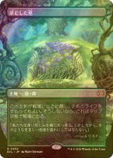 [FOIL] 草むした墓/Overgrown Tomb (全面アート版) 【日本語版】 [ECL-土地R]