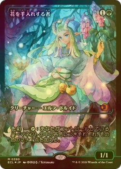 画像1: 花を手入れする者/Bloom Tender (ECL/緑MR/日/ジャパン・ショーケース版foil/NM) ※詳細要確認