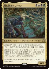 時に囲まれしドラン/Doran, Besieged by Time 【日本語版】 [ECL-金R]
